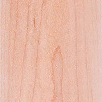 NXT / XL E-Nano Stando